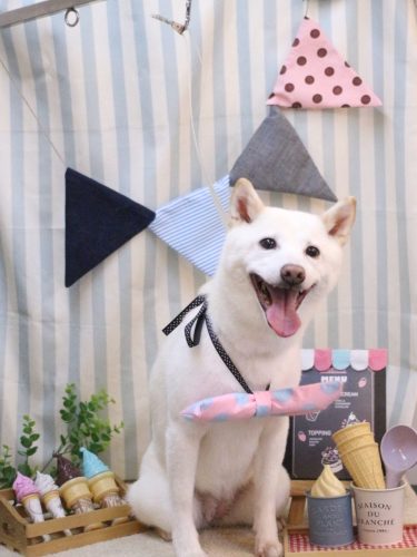 20250502すももちゃん